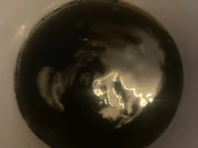 【消臭抗菌コート無料】【寒くなったタイミングでカビの繁殖をブロック】台数割有サービスの画像