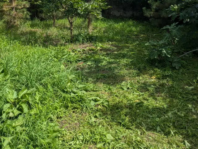 迅速かつ丁寧に対応します！お庭のお手入れはお任せください！サービスの画像