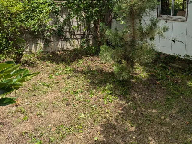 迅速かつ丁寧に対応します！お庭のお手入れはお任せください！サービスの画像