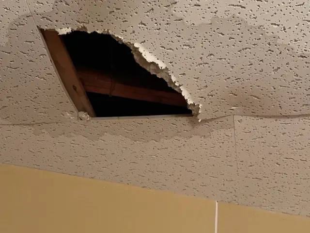 雨漏り調査致します！サービスの画像