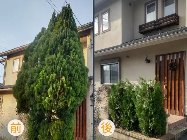 木も気もスッキリ!お庭に新しい風を！低木はゴミ回収込み！サービスの画像