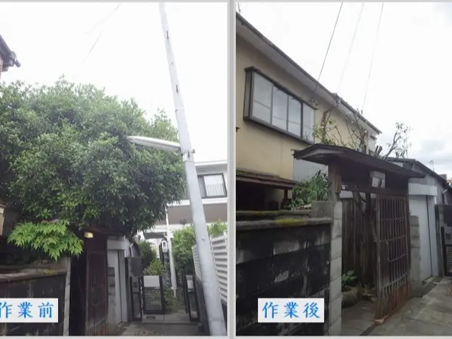 木も気もスッキリ!お庭に新しい風を！低木はゴミ回収込み！サービスの画像