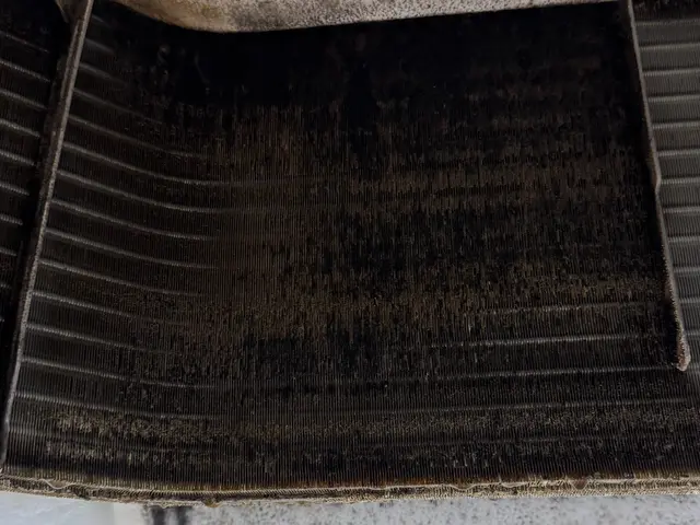 【元Jリーガーがご訪問】セカンドキャリア奮闘中！アスリートの体力と技で快適空間をサービスの画像