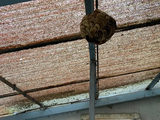 ◆年中無休！◆駐車代は当店が負担します◆迅速丁寧に仕上げます！サービスの画像