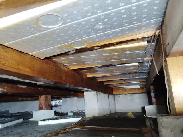 赤ちゃんやペットにも安心な薬剤使用！どんな場所でもシロアリ完全駆除致しますサービスの画像