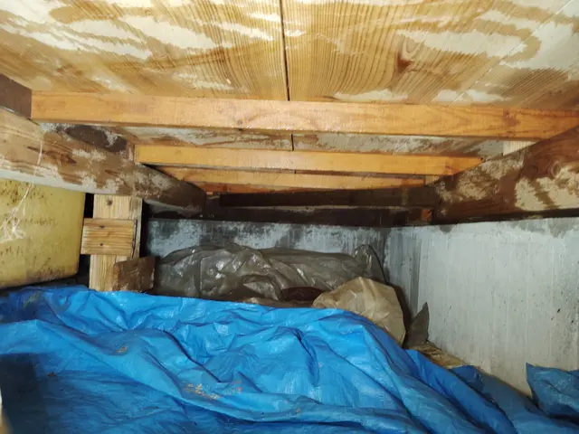 赤ちゃんやペットにも安心な薬剤使用！どんな場所でもシロアリ完全駆除致しますサービスの画像