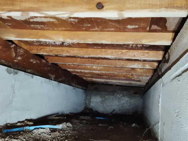 赤ちゃんやペットにも安心な薬剤使用！迅速・丁寧な対応でお客様満足度重視のサービスサービスの画像