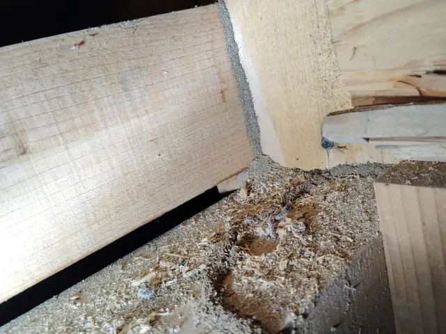 赤ちゃんやペットにも安心な薬剤使用！迅速・丁寧な対応でお客様満足度重視のサービスサービスの画像