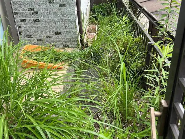 【10分奉仕付き】お客様の声に応える手作業の草むしり◎サービスの画像