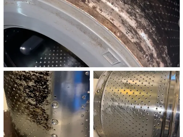 夏休みキャンペーン！お値段24000円！各メーカー洗濯機分解洗浄行います！サービスの画像