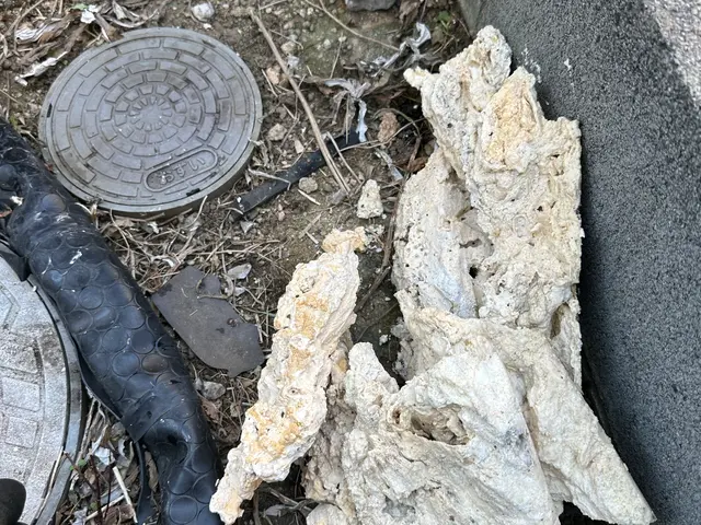 プロの技術でご満足いただけるように心を込めて作業いたしますサービスの画像