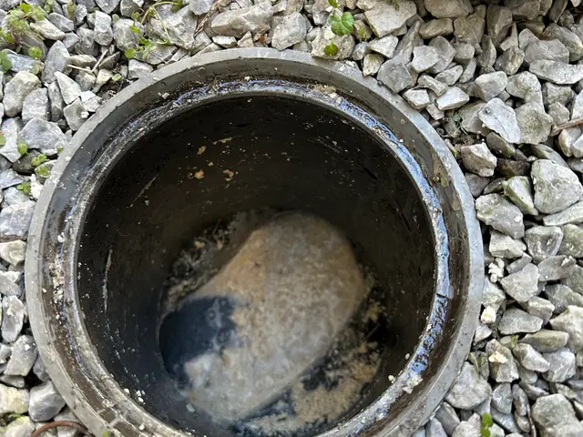 プロの技術でご満足いただけるように心を込めて作業いたしますサービスの画像