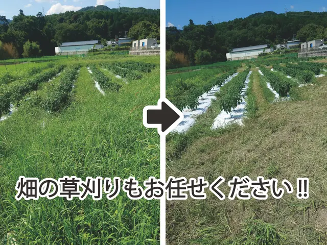 【業界10年以上】累積作業回数1000件突破の職人が伺います！サービスの画像