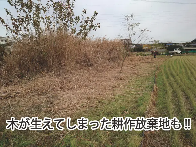 【業界10年以上】累積作業回数1000件突破の職人が伺います！サービスの画像