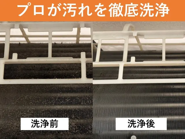 損害保険◎ 複数台割引◎ お掃除機能有・無関わらず同額サービスの画像