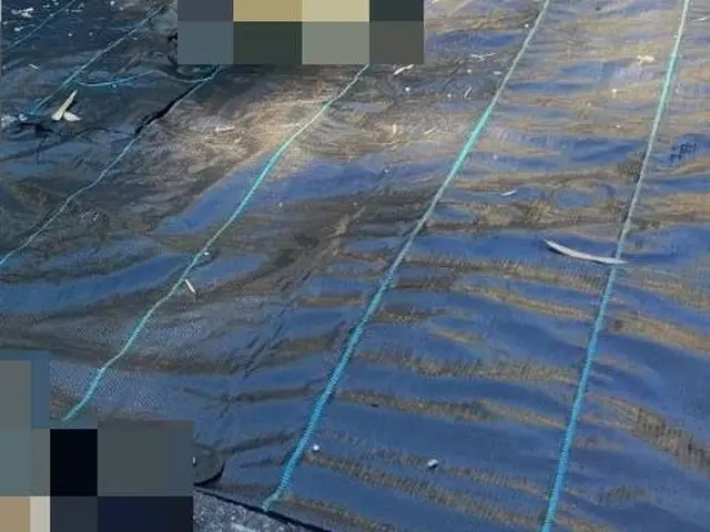 防草シート貼りサービスの画像