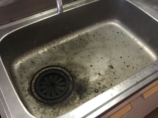キッチン流し清掃代行サービスサービスの画像