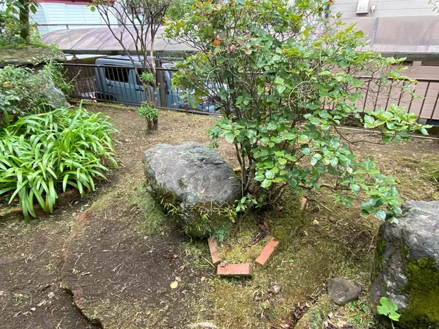 根っこから完全除去！ちぎるのではなく、根っこからしっかり抜きます！サービスの画像