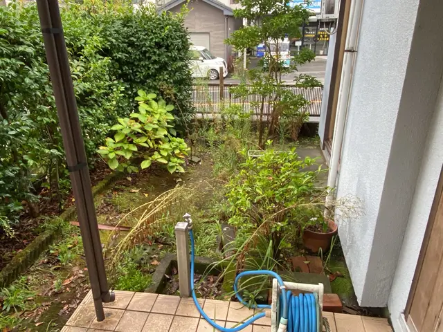 根っこから完全除去！ちぎるのではなく、根っこからしっかり抜きます！サービスの画像