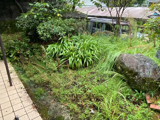 根っこから完全除去！ちぎるのではなく、根っこからしっかり抜きます！サービスの画像