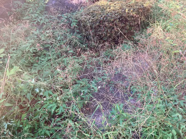 【女性スタッフも可】よく怖いと言われますが笑顔で明るくお伺いします！サービスの画像