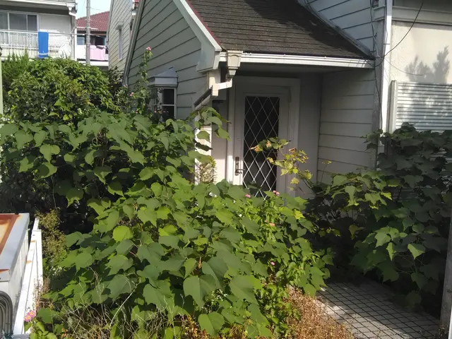 経験の中からお客様のお言葉とお庭に合ったお庭に仕上げますサービスの画像