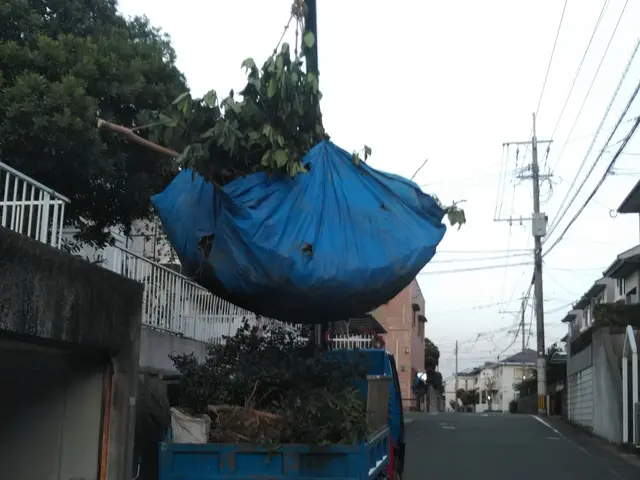 経験の中からお客様のお言葉とお庭に合ったお庭に仕上げますサービスの画像