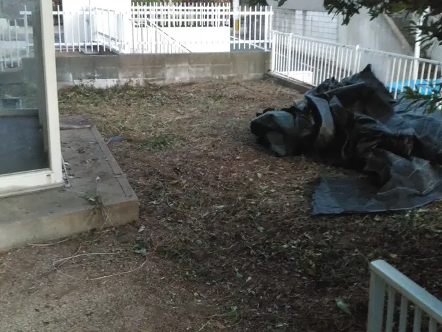 経験の中からお客様のお言葉とお庭に合ったお庭に仕上げますサービスの画像