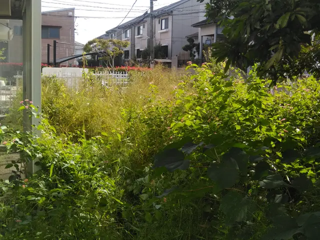 経験の中からお客様のお言葉とお庭に合ったお庭に仕上げますサービスの画像