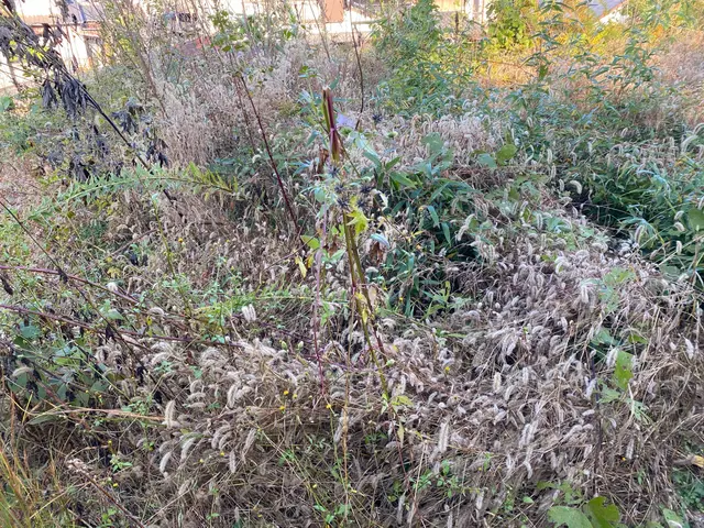 100件以上の実績！納得いくまでとことん丁寧に仕上げますサービスの画像