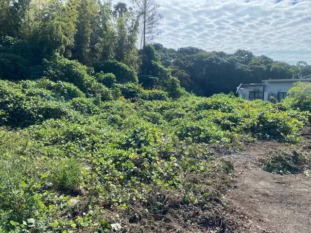 100件以上の実績！納得いくまでとことん丁寧に仕上げますサービスの画像