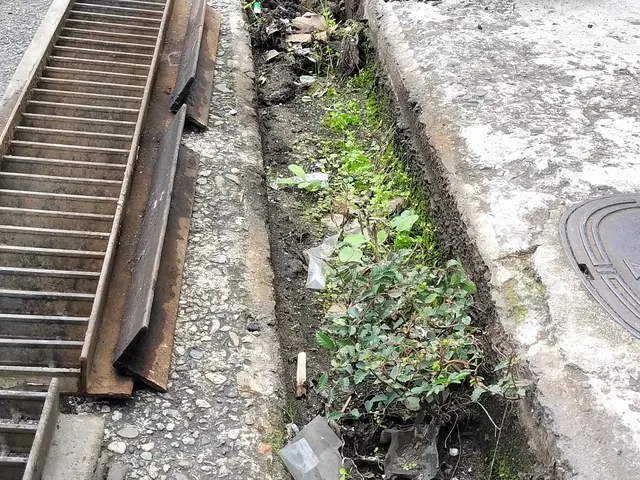 【業歴15年の実績】プロの技術でご満足いただけるように心を込めて作業いたしますサービスの画像