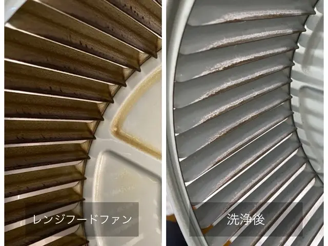 【新規出店】（特別価格で提供中）自宅で簡単に出来るプロの技術を全てお教えします！サービスの画像