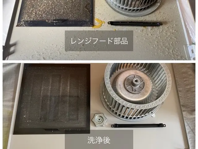 【新規出店】（特別価格で提供中）自宅で簡単に出来るプロの技術を全てお教えします！サービスの画像