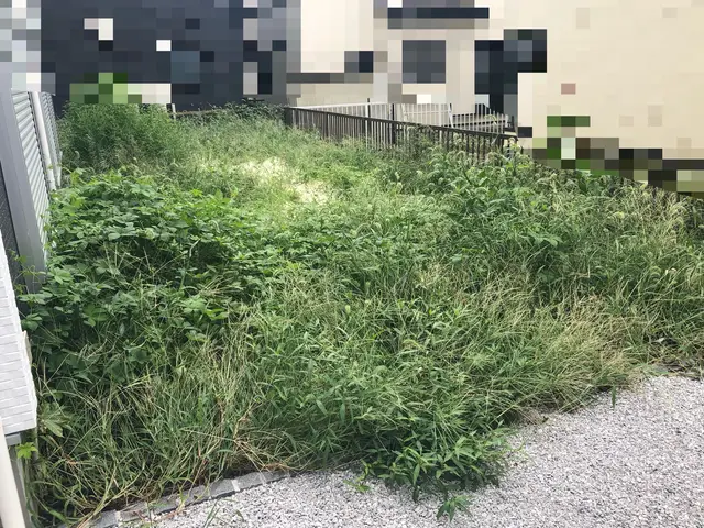 厄介な雑草は是非私にお任せください！！◎サービスの画像