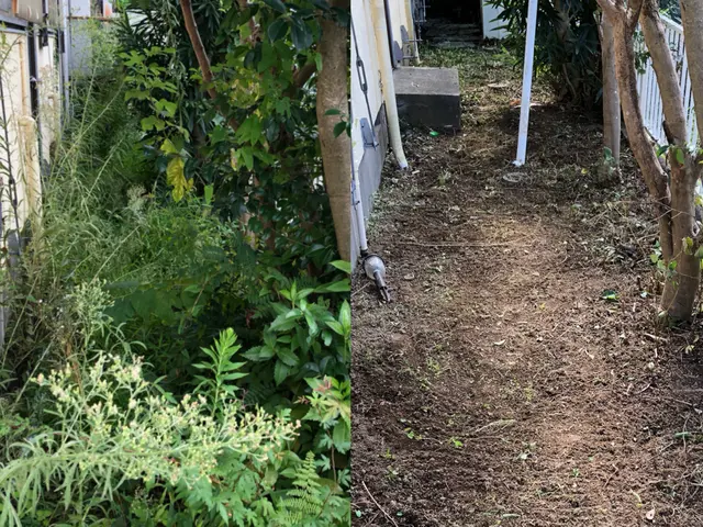 厄介な雑草は是非私にお任せください！！◎サービスの画像