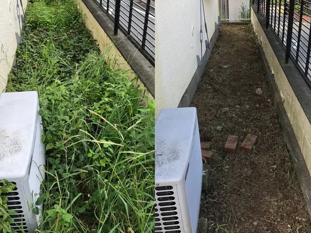 厄介な雑草は是非私にお任せください！！◎サービスの画像