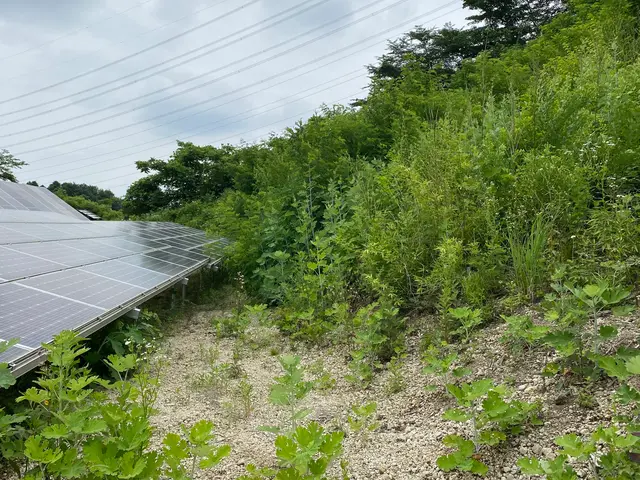 法人からの依頼多数　選ばれる理由は手厚いサポートと安全に配慮した作業が理由サービスの画像