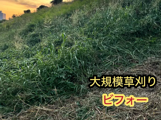 親切丁寧をモットーに！パパ職人による安心丁寧作業、時間外・地域外も相談対応サービスの画像