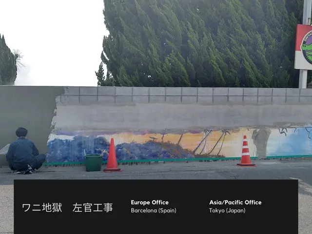 壁紙の上から漆喰や珪藻土　塗装も出来て水性環境型でお住まい中でも大丈夫ですサービスの画像