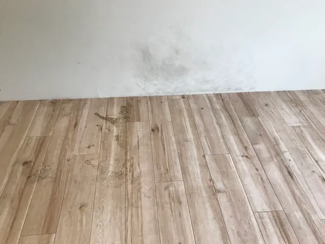 熊本の頑固な水アカはプロに任せた方が効率的ですよ！サービスの画像