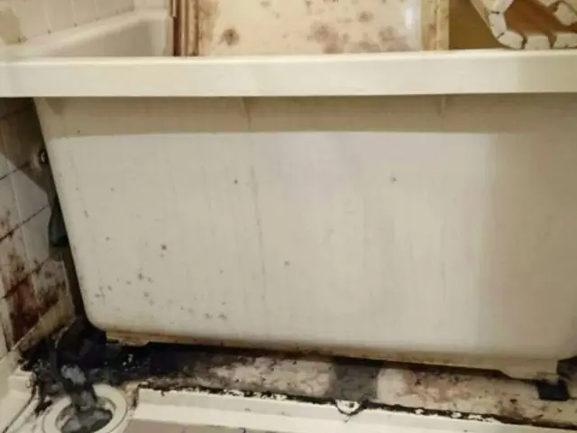 ★安心な口コミ数★《11月予約受付中》エプロン内込み◎保険加入◎リピート◎サービスの画像