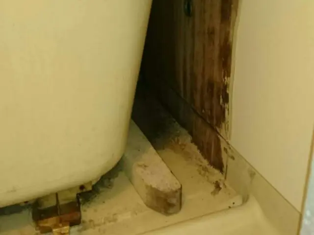 ★安心な口コミ数★《11月予約受付中》エプロン内込み◎保険加入◎リピート◎サービスの画像