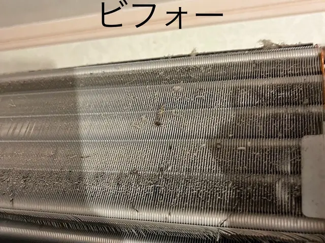 ◆2種類の薬剤で徹底的に◆ともに高圧洗浄機使用◆すすぎでは防菌消臭も兼ねてます！サービスの画像