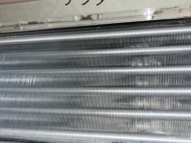 ◆2種類の薬剤で徹底的に◆ともに高圧洗浄機使用◆すすぎでは防菌消臭も兼ねてます！サービスの画像