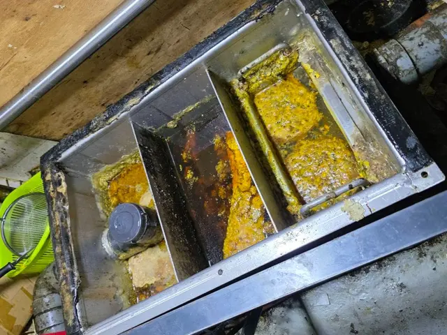 『飲食店オーナーも太鼓判！ 徹底的に綺麗にする清掃のプロ』サービスの画像