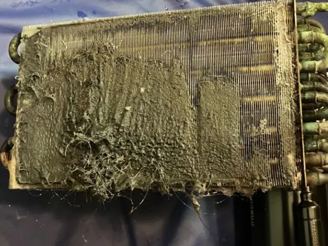 パナ出身『パナソニック専門店』ヒートポンプ分解洗浄込☆男女2名作業☆浴室も除菌☆サービスの画像