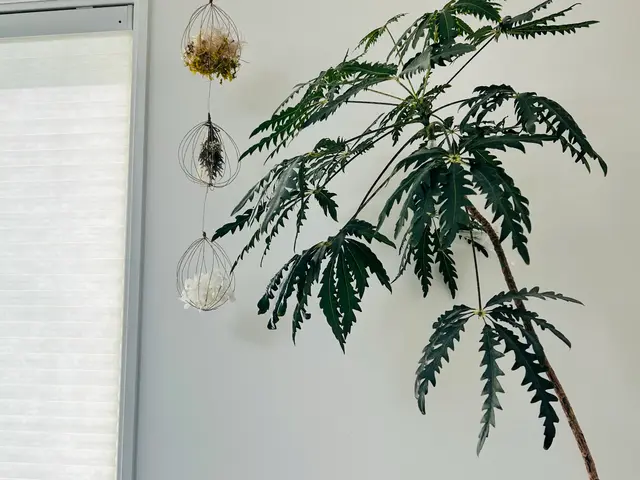 宝塚市中心　元保育士店長が磨く【空室清掃】 丁寧さ重視の美装会社ですサービスの画像