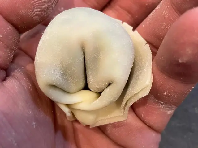 どんこ餃子出張ライブキッチン