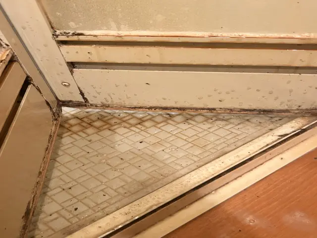 【女性スタッフ指定OK】駐車場代込み｜安心・丁寧◎全スタッフ清掃会社出身◎損保◎サービスの画像